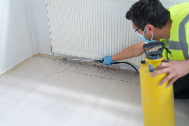 Best Best Pest Control Companies  in Ranson, WV